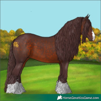 Horse Color:Chocolate Brown 