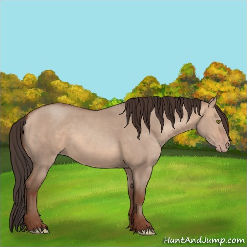 Horse Color:Sable Champagne Dun 