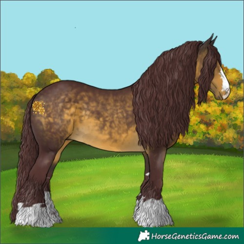Horse Color:Chocolate Buckskin 