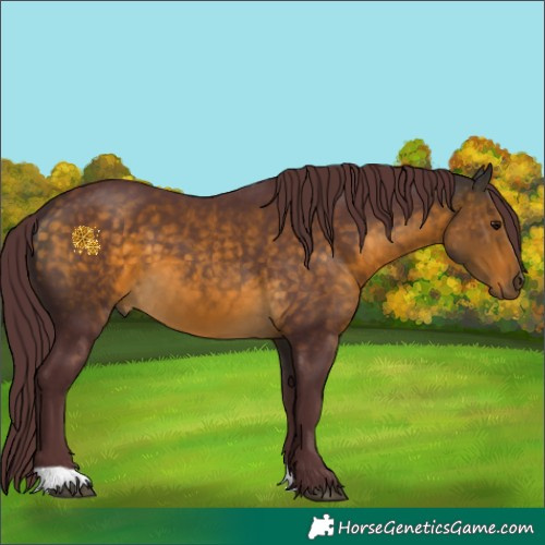 Horse Color:Chocolate Buckskin 