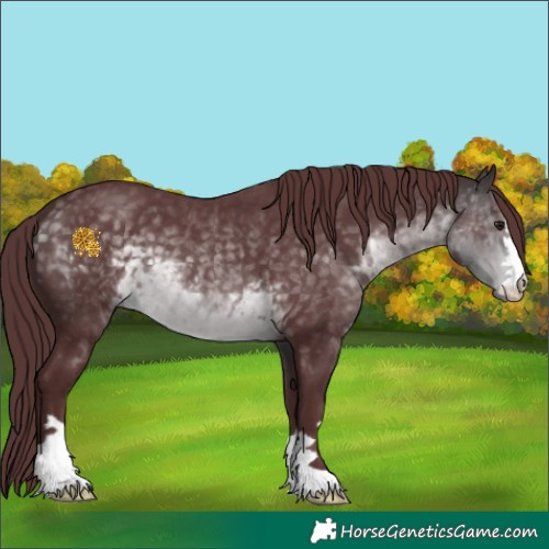 Horse Color:Platinum Chocolate Buckskin 