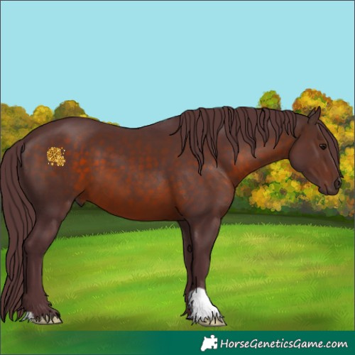 Horse Color:Chocolate Brown 