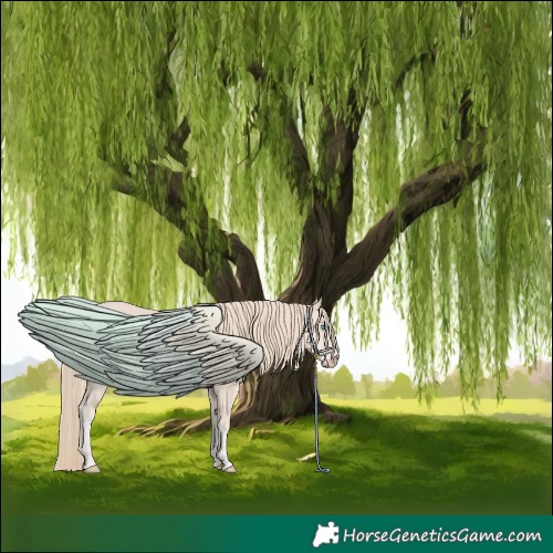 Horse Color:Smoky Creme 