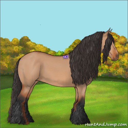 Horse Color:Bay Dun