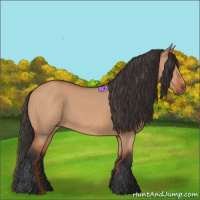 Horse Color:Bay Dun 