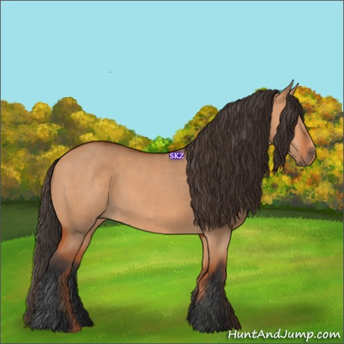 Horse Color:Bay Dun
