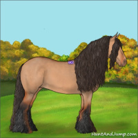 Horse Color:Bay Dun