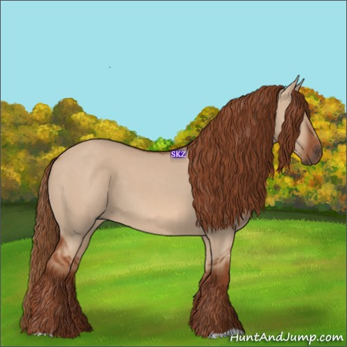 Horse Color:Red Dun 
