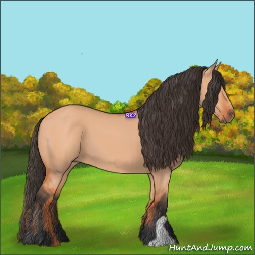 Horse Color:Bay Dun 