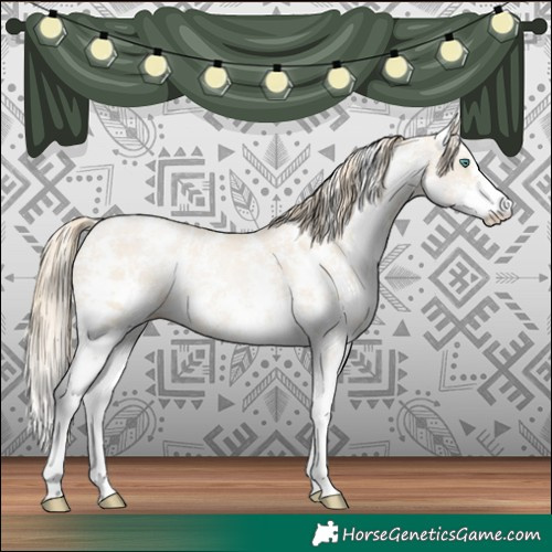 Horse Color:Smoky Black Pearl Sabino