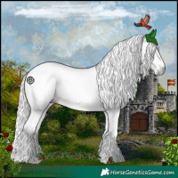Horse Color:Gray Amber Champagne Ice Splash Tobiano 
