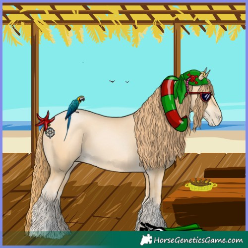 Horse Color:Buckskin Pearl Sabino 