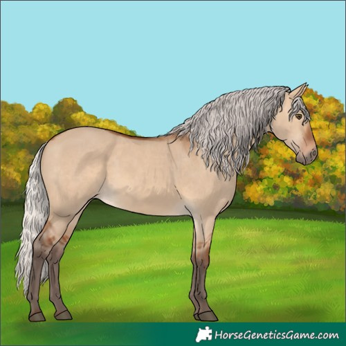 Horse Color:Silver Bay Dun