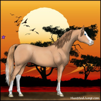 Horse Color:Gold Champagne Splash 