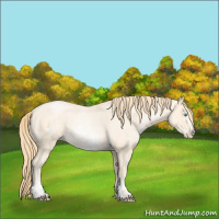 Horse Color:Buckskin Roan Pearl  and Buckskin Roan Pearl Frame 