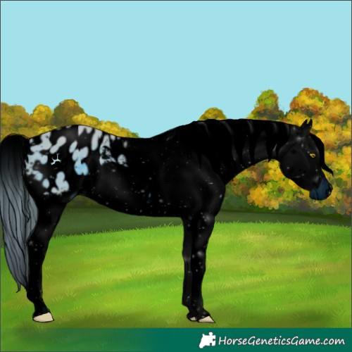 Horse Color:ERROR: UNKNOWN ANOMALY