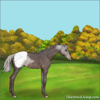 Horse Color:Silver Brown Roan Snowflake Varnish