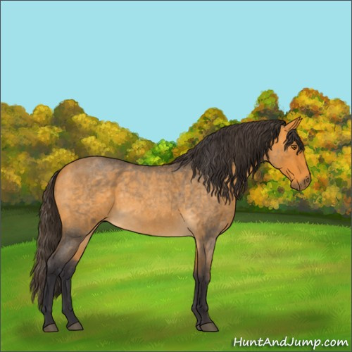 Horse Color:Smoky Blue Roan