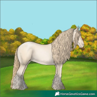 Horse Color:Smoky Black Pearl Sabino 