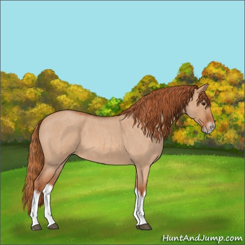 Horse Color:Red Dun Roan Splash Frame Rabicano 