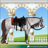 Horse Color:Platinum Chocolate Buckskin Roan 