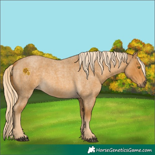 Horse Color:Palomino Roan 