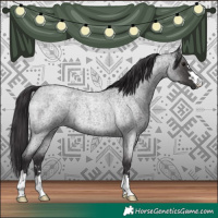 Horse Color:Smoky Blue Roan