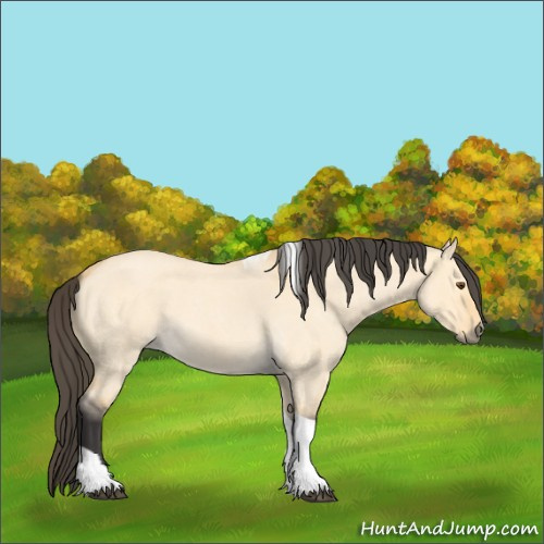Horse Color:Unknown 