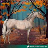 Horse Color:Chocolate Palomino Roan 