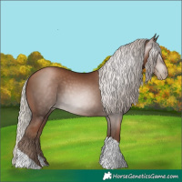 Horse Color:Gray Silver Black Pearl Tobiano