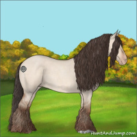 Horse Color:Amber Champagne Roan Dun 