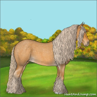 Horse Color:Palomino Roan 