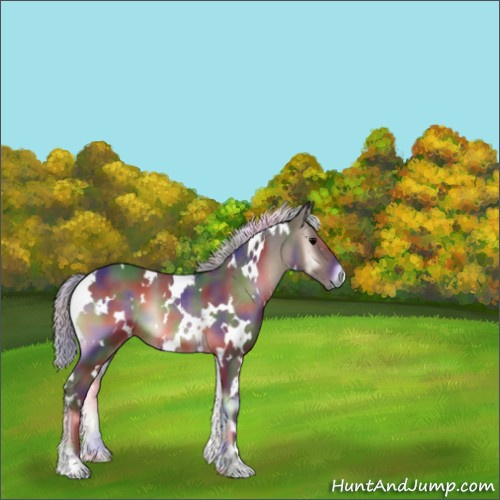 Horse Color:Nacre White Spotted Silver Blue Onyx 
