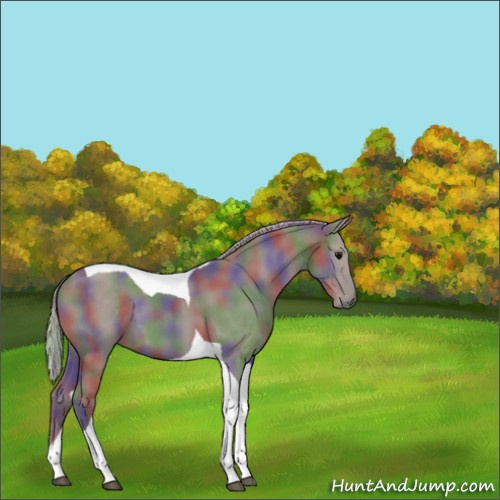 Horse Color:Nacre Silver Grullo Tobiano 