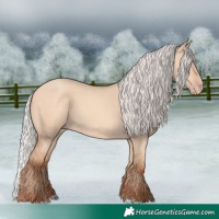 Horse Color:Silver Amber Champagne Dun 