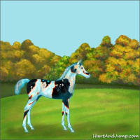 Horse Color:Thunderstruck Palomino Splash Tobiano 