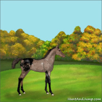 Horse Color:Void Liver Red Dun Tobiano Snowcap