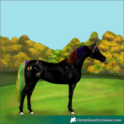 Horse Color:Void Painted Silver Bay Dun Splash Tobiano Blanket 