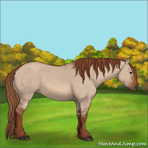 Horse Color:Red Dun 
