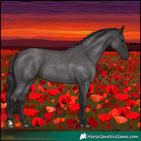 Horse Color:Smoky Blue Roan