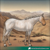 Horse Color:Chocolate Palomino Roan 