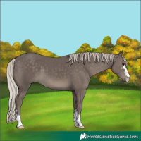 Horse Color:Silver Black 