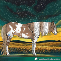 Horse Color:White Spotted Liver Red Dun 