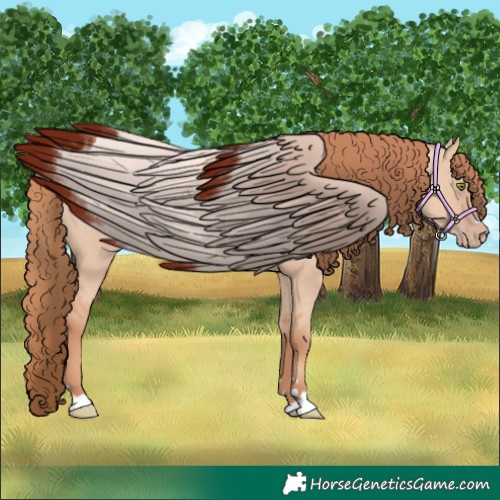 Horse Color:Gold Champagne Dun