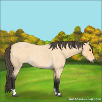 Horse Color:Buckskin Roan Tobiano 