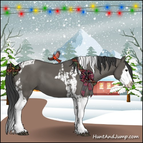 Horse Color:Grullo Sabino Splash and Grullo Sabino Splash Tobiano