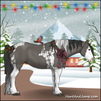 Horse Color:Grullo Sabino Splash  and Grullo Sabino Splash Tobiano 