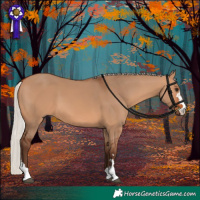 Horse Color:Silver Bay Dun