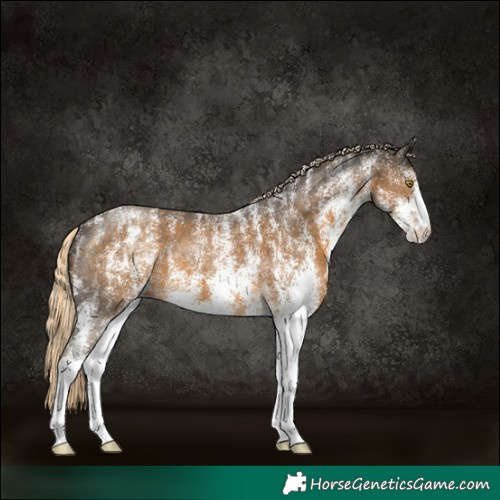 Horse Color:Powder White White Spotted Chocolate Palomino Mushroom 