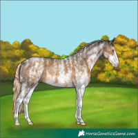 Horse Color:Powder White White Spotted Chocolate Palomino Mushroom 